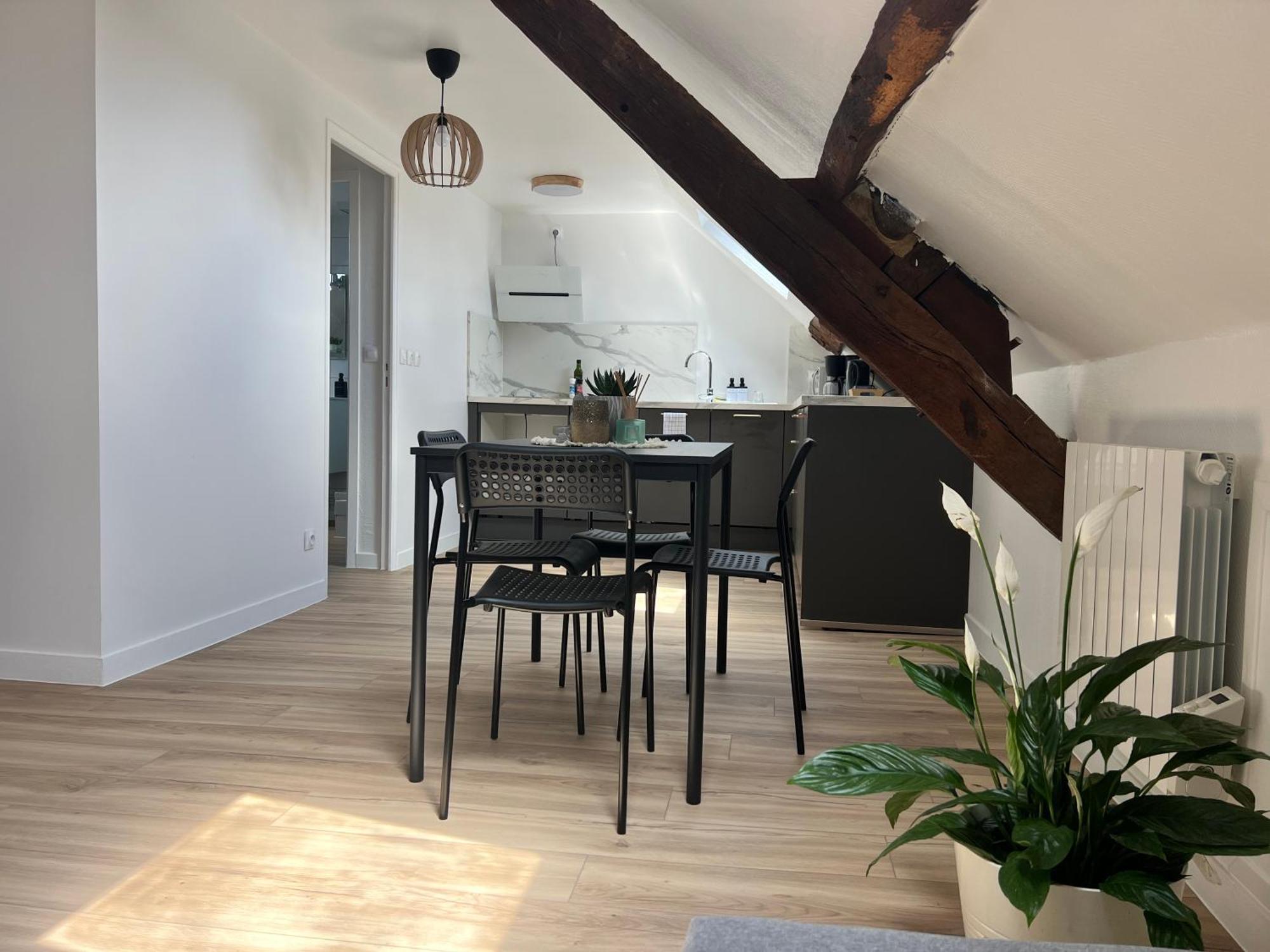 Ferienwohnung Appart Asterix Cdg Parc Expo Paris Chantilly Plailly Exterior foto